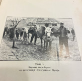 SEZ XIII: Etnološka i etnografska građa (1909) - Naše kiridžije, Skadarsko jezero, Narodna medicina u Levču i Temniću ...