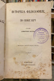 Istorija filozofije po Švegleru - izradio Dimitrije Matić (1865)