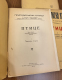 Prirodopisni atlasi: Ptice I-III sa 252 slike u boji - tekst Dragutin T. Simonović (1939)
