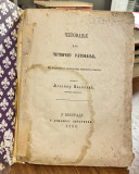 Četovanje ili četničko ratovanje - Ljubomir Ivanović (1868)