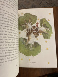 Le Petit Prince - Antoine de Saint-Exupery (Gallimard 1977)