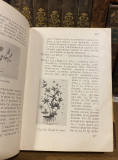 Ilustrovani imenik lekovitog bilja, domaćeg i stranog i njegova upotreba - Negovan P. Rajić (1937)