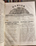 Danica horvatska, slavonska i dalmatinska br. 1-52 za 1846. Urednik Ljudevit Gaj