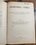 Kneževina Srbija i Kraljevina Srbija - Milan Đ. Milićević 1876/1884
