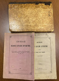 Protokoli Velike Narodne skupštine za 1868, 1869, 1872. (Ubistvo kneza Mihaila, knez Milan, Namesništvo...)