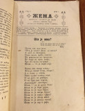 Žena, mesečni časopis za žene br. 1 - uređuje Milica Jaše Tomića (1911)