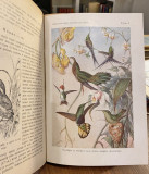Šmajlovi opisi životinjskih vrsta - Otto Schmeil. Saopštio na srpskom i izdao Milan M. Tomić (1907)