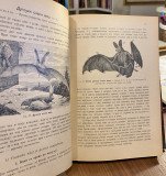 Šmajlovi opisi životinjskih vrsta - Otto Schmeil. Saopštio na srpskom i izdao Milan M. Tomić (1907)