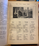 Svet u slikama : Orbis Pictus - Jan Amos Komenski (preveo Jovan Popović) 1913