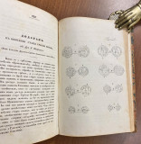 Glasnik društva srbske slovesnosti I-VII 1847-1855 u originalnom povezu