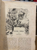 Radovan, poučan i zabavan list za srpsku decu, br. 1 za januar 1876
