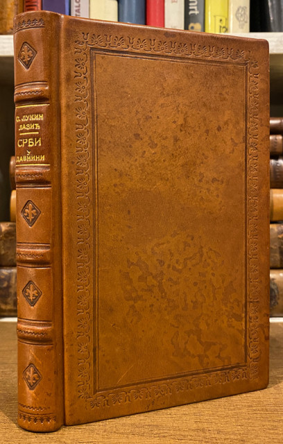 Srbi u davnini - Sima Lukin Lazić (1894)