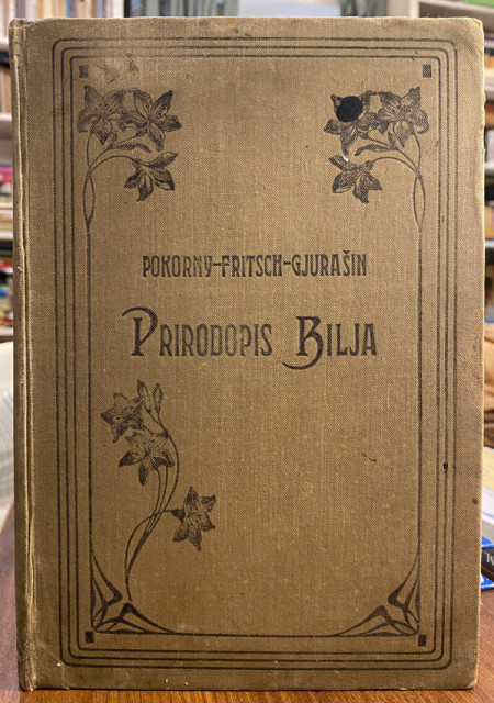 Prirodopis bilja - Pokorny, Fritsch, Gjurašin (1915) Prirodopis bilja - Pokorny, Fritsch, Gjurašin (1915)