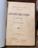 Carigradske slike i prilike, putopisne crte - Čeda Mijatović 1901