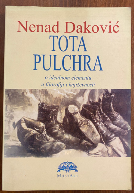 Tota pulchra o idealnom elementu u filozofiji i književnosti - Nenad Daković