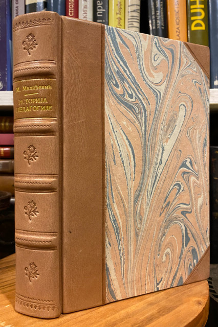 Istorija pedagogije - M. Đ. Milićević (1871)