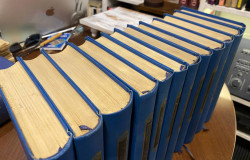 Fjodor Dostojevski - Odabrana dela I-XII