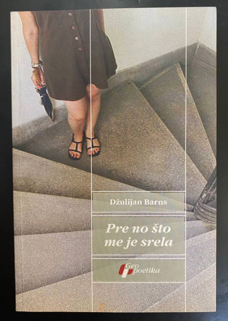 Pre no što me je srela - Džulijan Barns