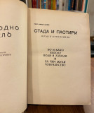Stada i pastiri (Vođi i buntovnici) - Rene Filep Miler (1934)