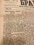 Branik, organ Srpske narodne slobodoumne stranke, 6 brojeva za 1895. godinu - ured. Nikola Joksimović
