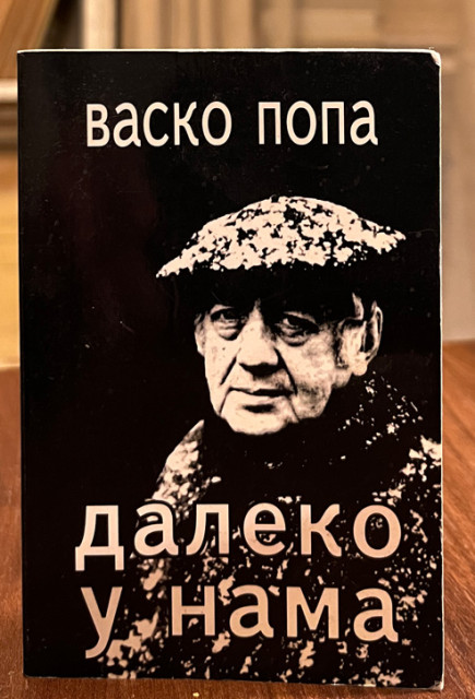 Daleko u nama - Vasko Popa