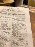 Rečnik ilirskoga i nemačkoga jezika - Rudolf V. Veselić u Beču 1853