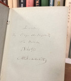 Selo zloselica i učitelj Milivoje - Milan Đ. Milićević (1880)
