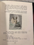 Zec i Miš, priče o životinjama - napisala Milica Janković, ilustrovala sa 12 slika Beta Vukanović (1934)