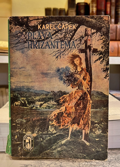Plava hrizantema - Karel Čapek