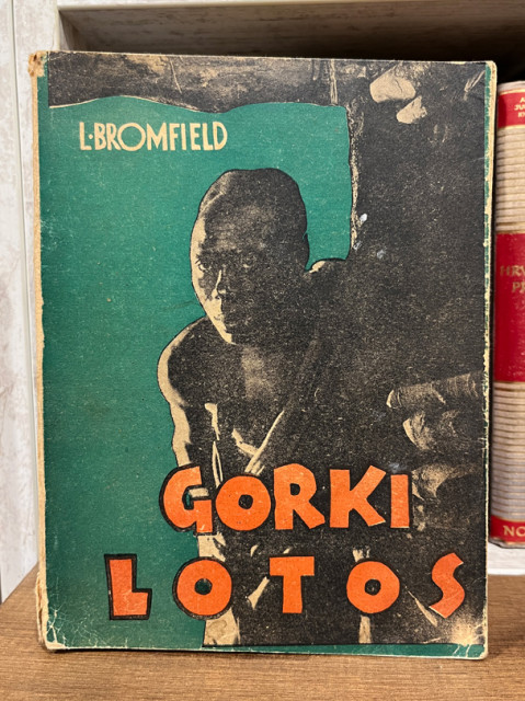 Gorki lotos - Louis Bromfield