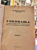Sokobanja - Dr. Milojko Mir. Dunjić, banjski lekar (1936)