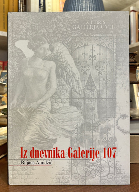 Iz dnevnika Galerije 107 - Biljana Amidžić