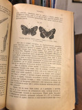 Zoologija 1-2 sa 889 slika - Karlo Klauz, prev Ljubomir Miljković (1900)