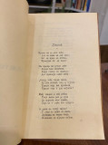 Pesme Petra Preradovića sa uvodom, tumačem i rečnikom (1902)