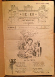 NEVEN, Čika Zmajovin list : Br. 1-18 1901/1902