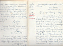 (Rukopis) Raporti od dolaska iz zarobljeništva, 20. marta 1917 Rim. Rez. peš. poručnik Đorđe Šapinac