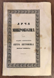 Luča Mikrokozma - Petar II Petrović Njegoš (1845)