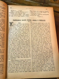 JAVOR list za zabavu, pouku i književnost : za godinu 1881