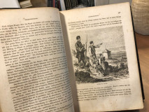 Serbien : Historisch-ethnographische reisestudien aus den jahren 1859-1868 von Felix Kanitz