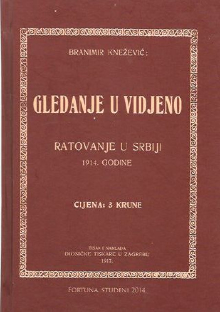 Gledanje u vidjeno - ratovanje u Srbiji 1914. godine - Branimir Knežević