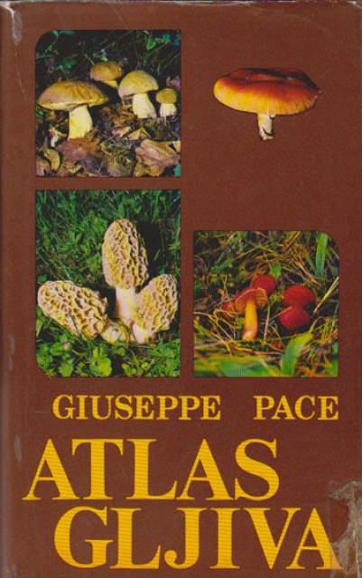 Atlas gljiva - Giuseppe Pace