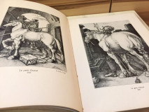 Albrecht Dürer - l&#039;œuvre du maître : tableaux, gravures sur cuivre, gravures sur bois : ouvrage illustré de 473 gravures (Paris 1908)