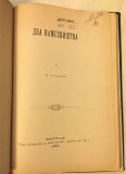 Dva namesništva - Milutin Garašanin (1893)