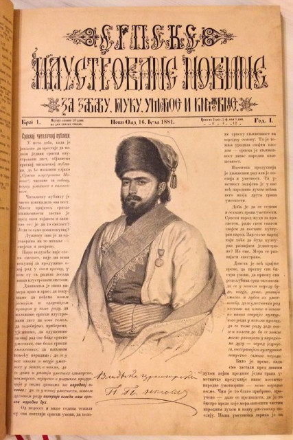 Srpske Ilustrovane Novine za 1881 - ured. Stevan V. Popović