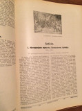 Almanah 1921-1922 Kraljevina Srba, Hrvata i Slovenaca - ured. Viktor Manakin