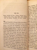 Serbien und die Serben von William Denton, D. V. Cölln - Berlin 1865