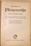 Naturgeschichte des Pflanzenreichs nach dem Linnéschen System - Willkomm Moritz (1887)