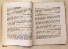 Dejanija izvanrednog Srbskog narodneg sobora u Karlovci 1861