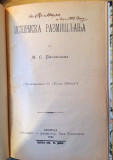 Istorijska razmišljanja od M. S. Piroćanca (1897)