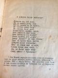 Pesme jednoga proletera - Andra Kostić (1910)